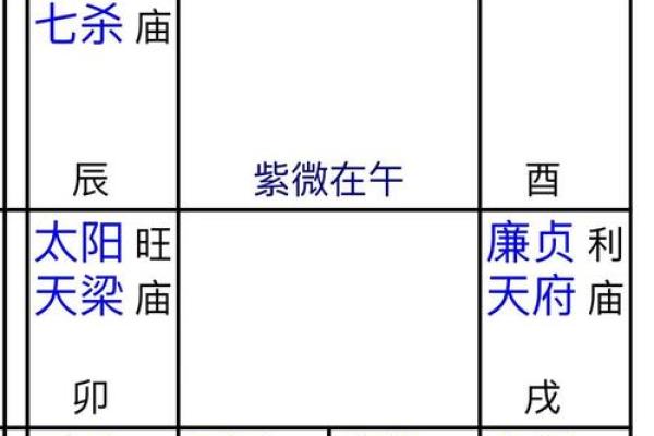 2025年4月15日亥时女命紫微斗数全解盘