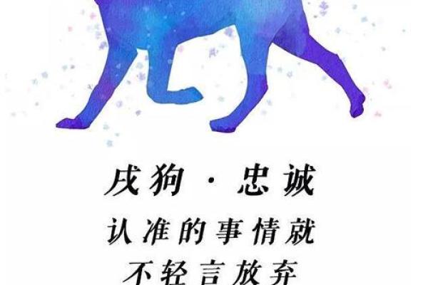 1970的狗在2025的运程 1970年属狗人2025年运势详解财运事业感情全解析