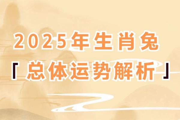 属兔人明年适合开店吗女 属兔人明年适合开店吗女