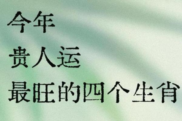 54年属马的今年命运 2023年54年属马运势解析财运健康事业运全预测