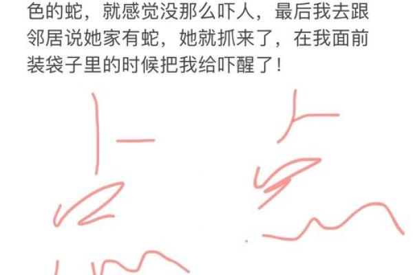 梦到蛇 解梦